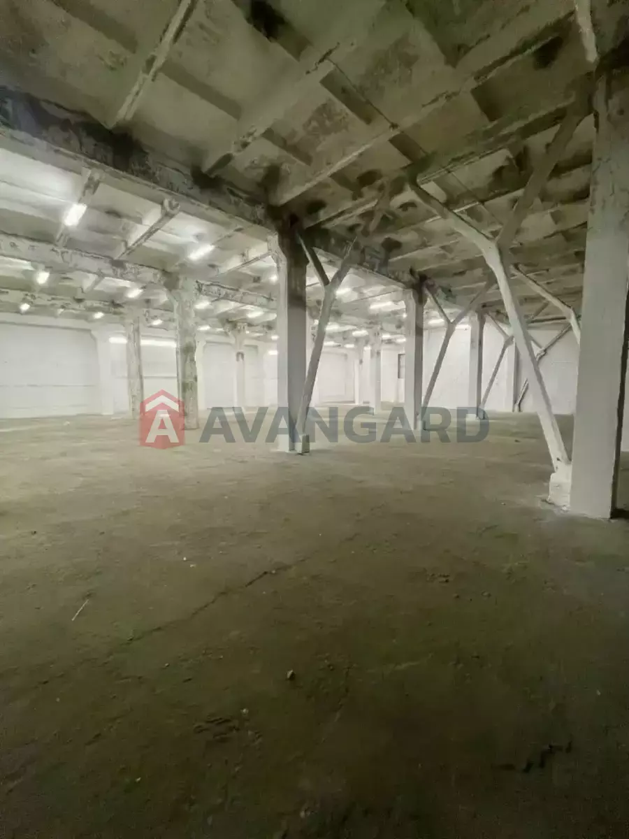 ��������� ���������, 4250 ��.�. ���� 8