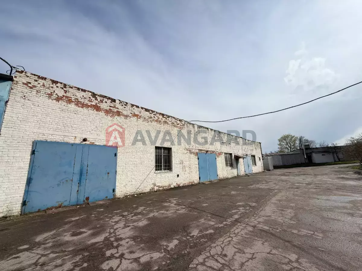 ��������� ���������, 500 ��.�. ���� 12