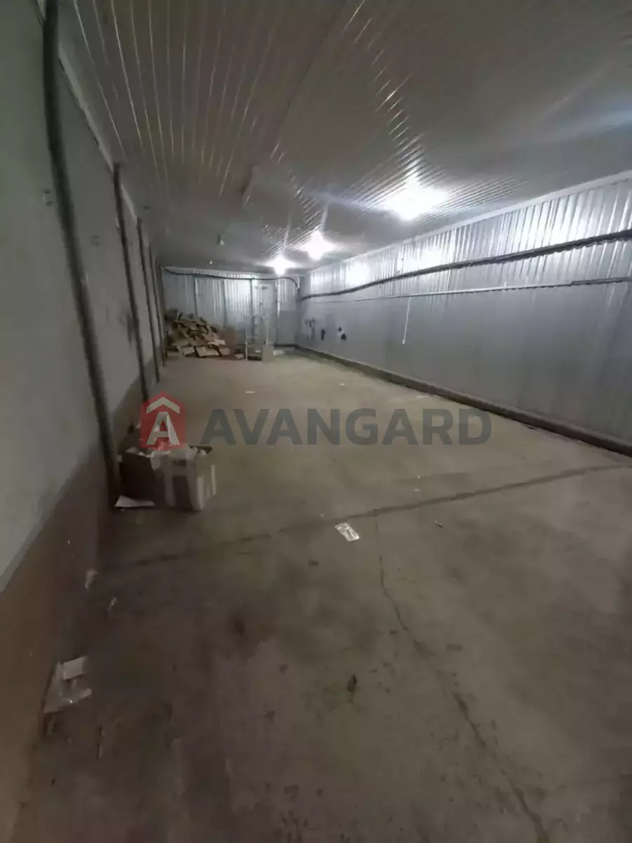 ��������� ���������, 250 ��.�. ���� 5