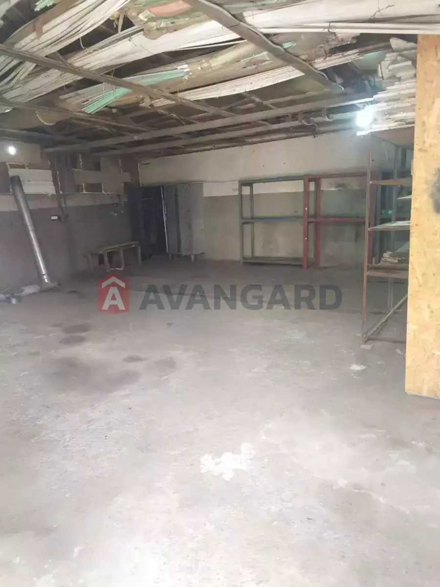 ��������� ���������, 80 ��.�. ���� 3