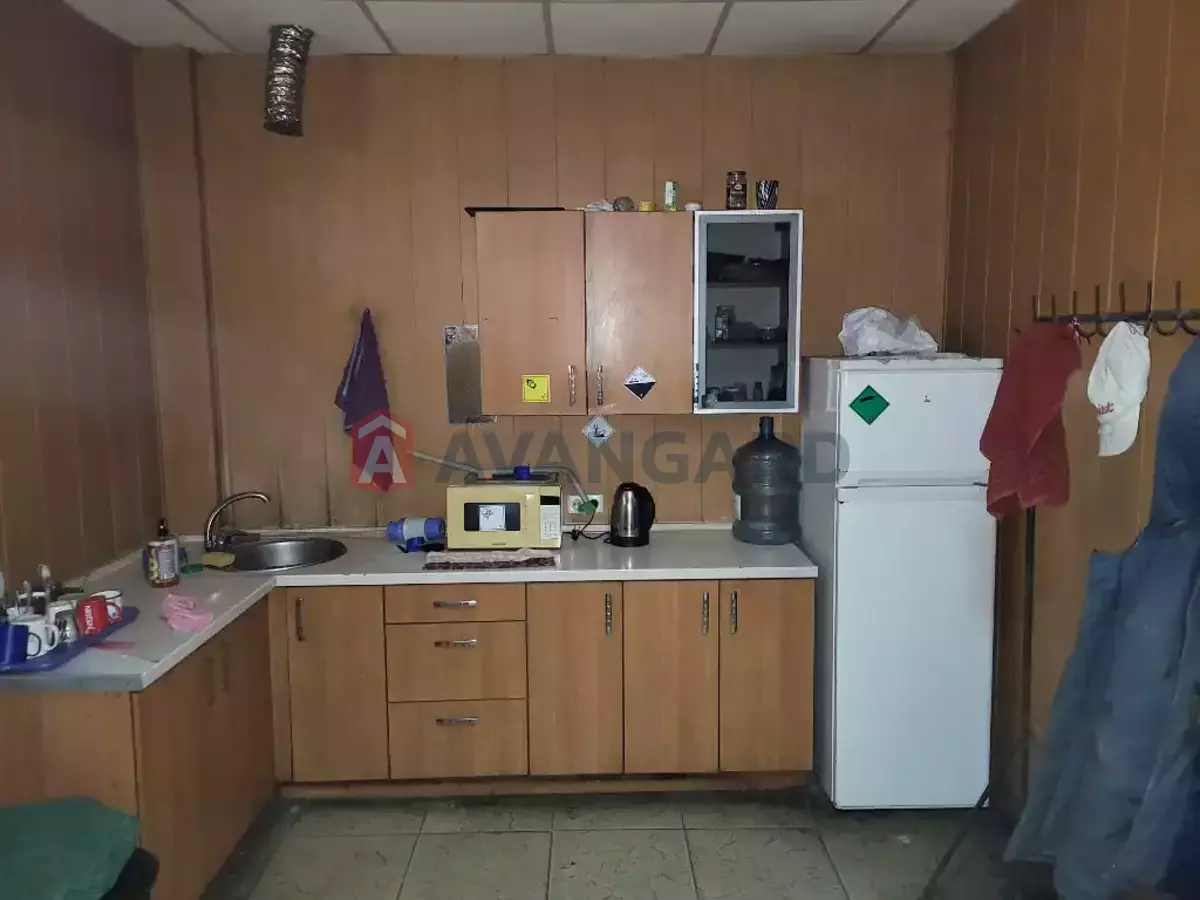 ���������������� ���������, 1900 ��.�. ���� 6