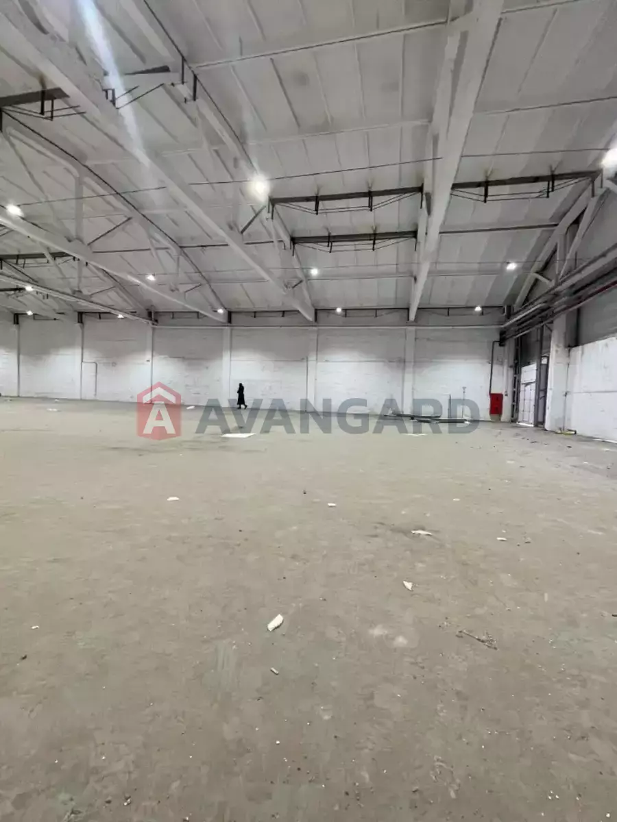 ��������� ���������, 1120 ��.�. ���� 7