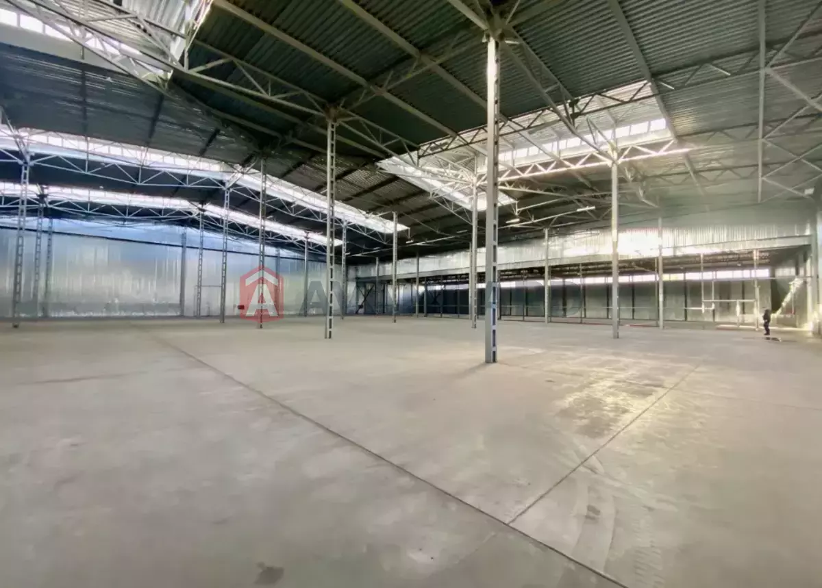 ��������� ���������, 1000 ��.�. ���� 1