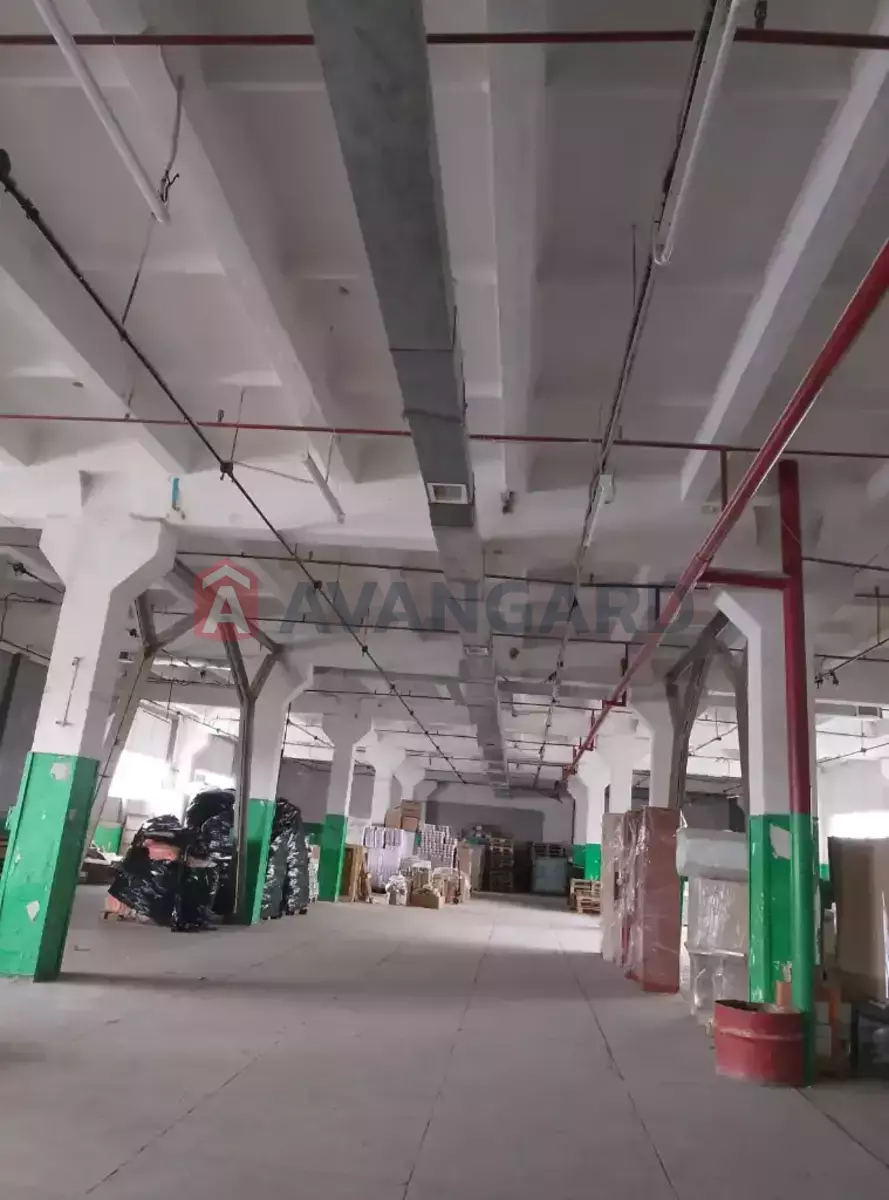 ��������� ���������, 740 ��.�. ���� 6