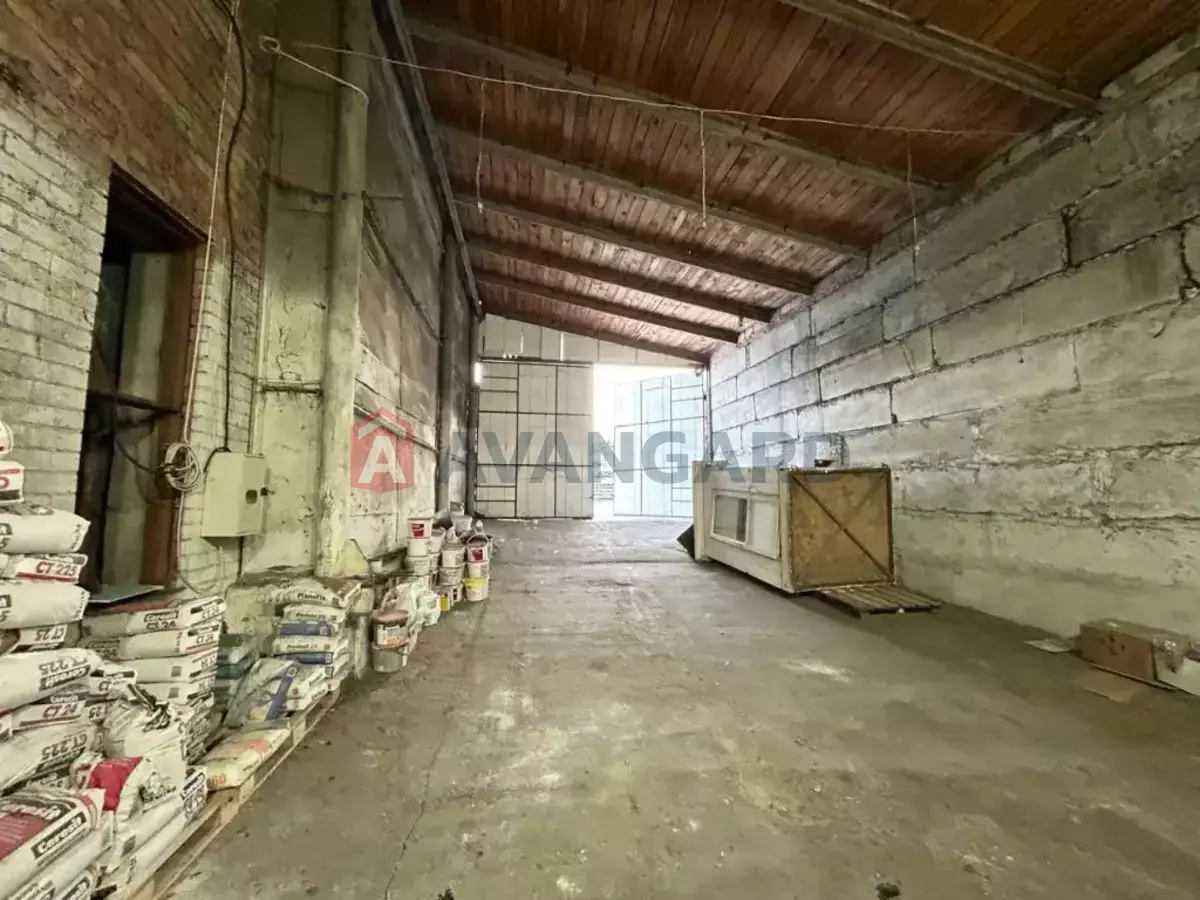 ���������������� ���������, 170 ��.�. ���� 5