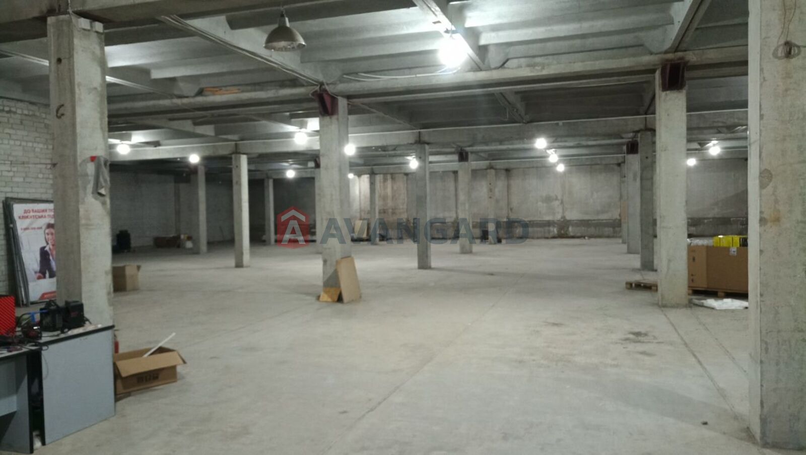 ��������� ���������, 8135 ��.�. ���� 1