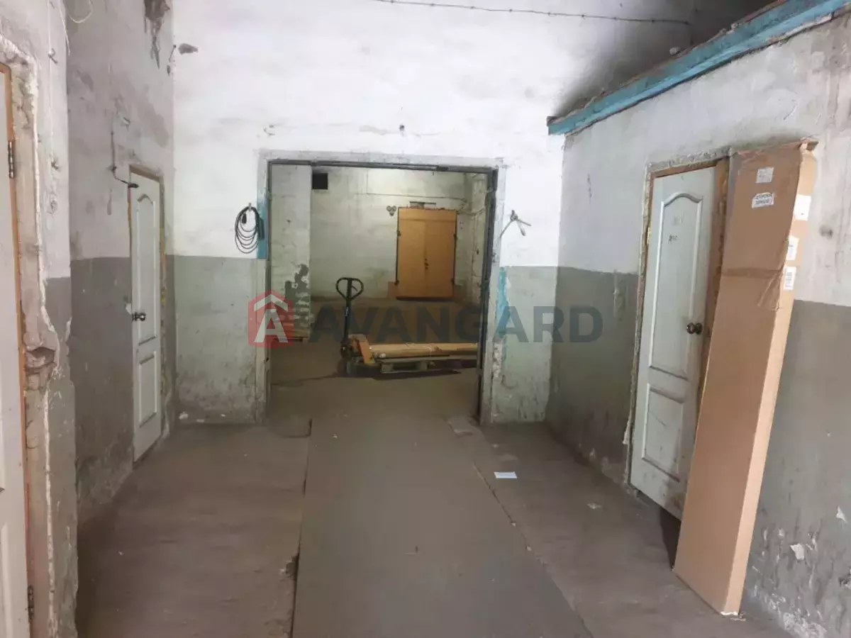 ��������� ���������, 4000 ��.�. ���� 5