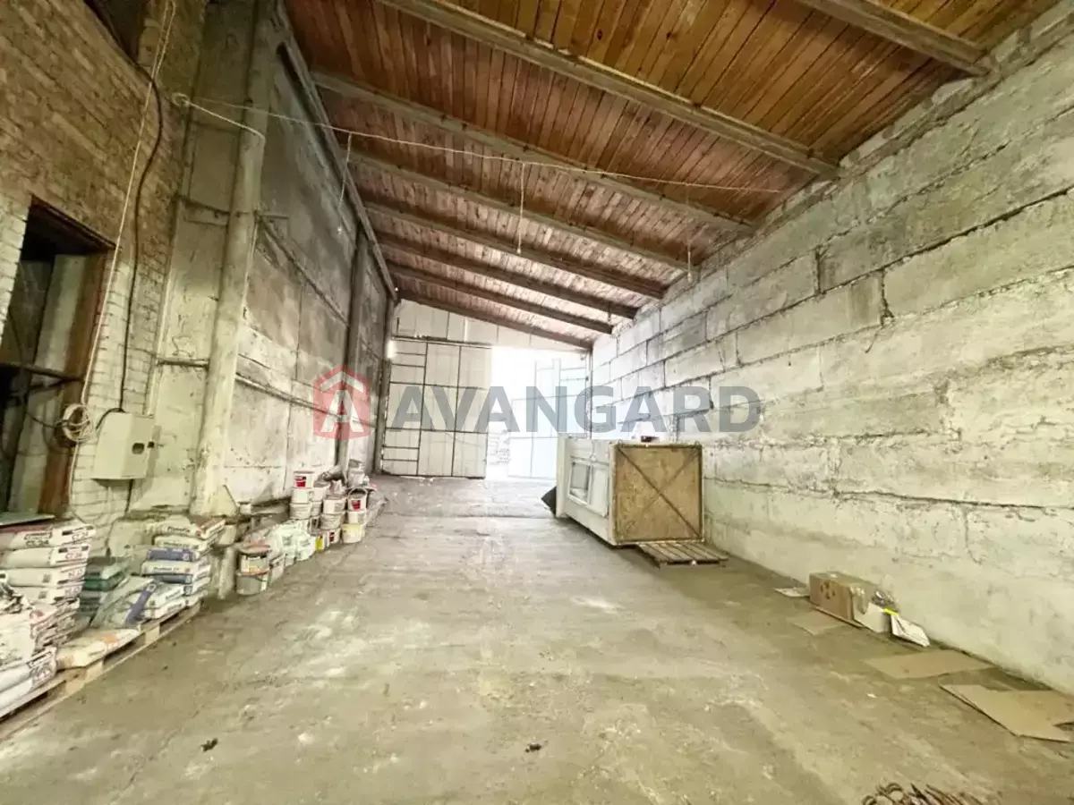 ���������������� ���������, 170 ��.�. ���� 3