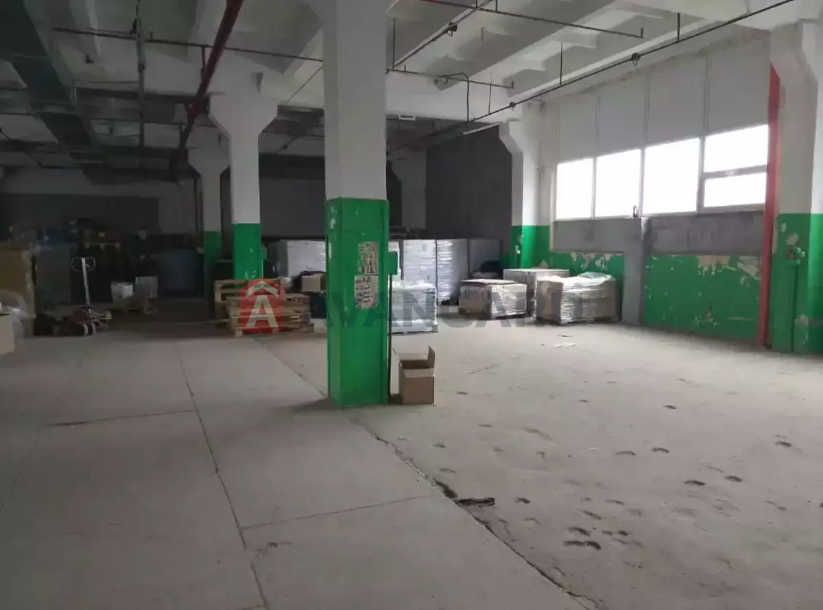 ��������� ���������, 740 ��.�. ���� 8