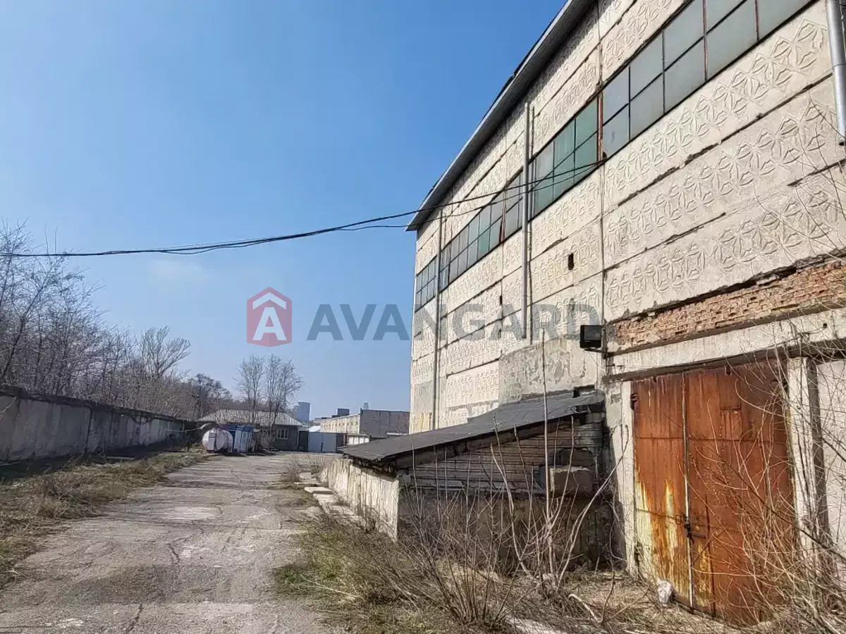 ���������������� ���������, 1900 ��.�. ���� 4