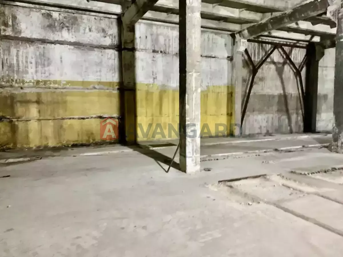 ��������� ���������, 1000 ��.�. ���� 5