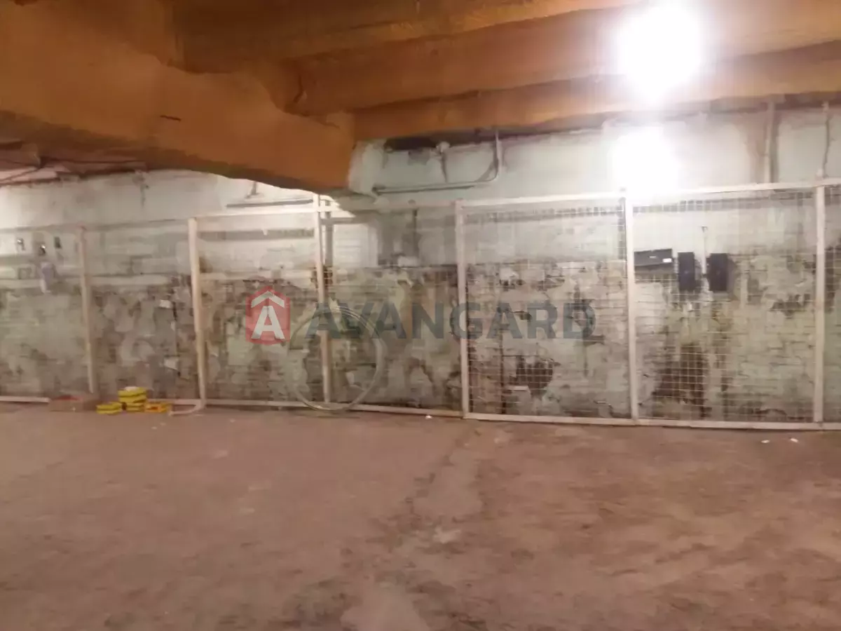 ��������� ���������, 600 ��.�. ���� 3