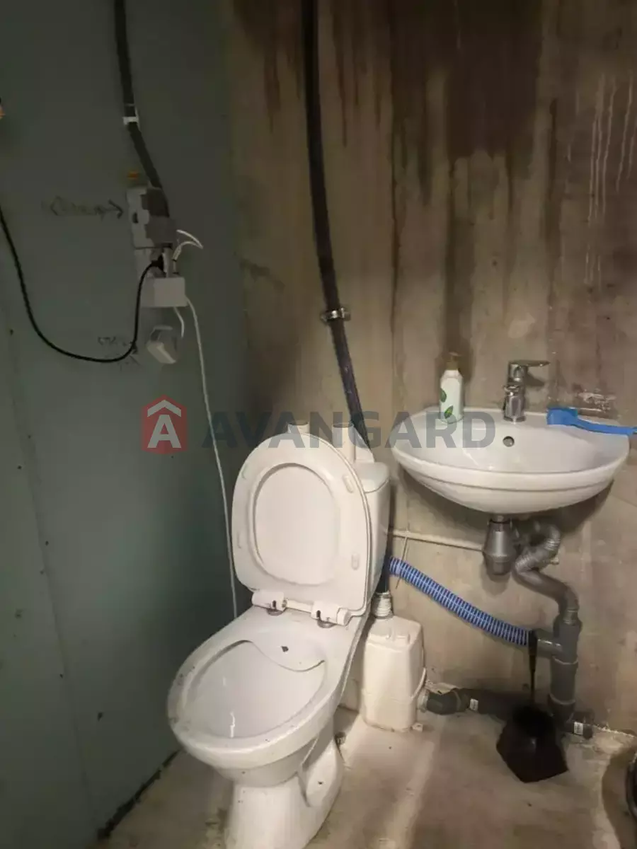 ��������� ���������, 270 ��.�. ���� 8