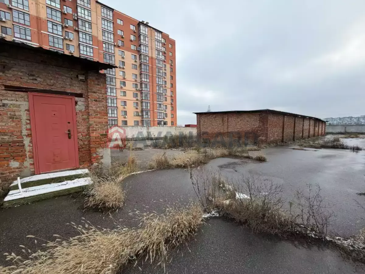 ��������� ���������, 800 ��.�. ���� 6