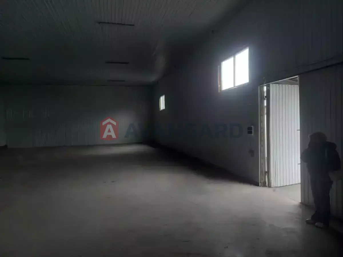 ��������� ���������, 300 ��.�. ���� 4