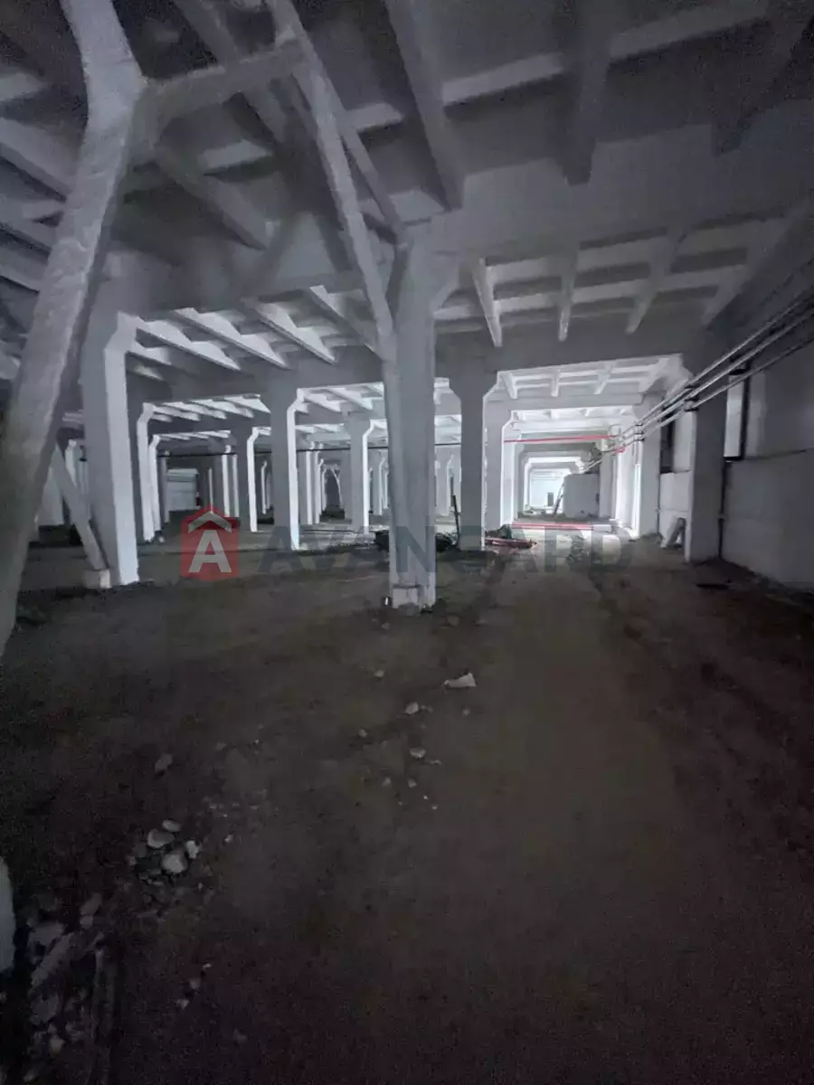 ��������� ���������, 4600 ��.�. ���� 29