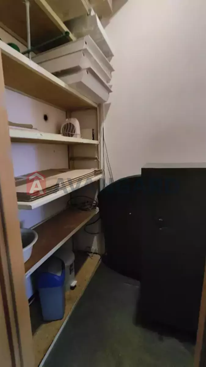 50 ��.�. ���� 9
