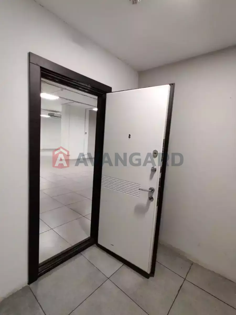 196 ��.�. ���� 15