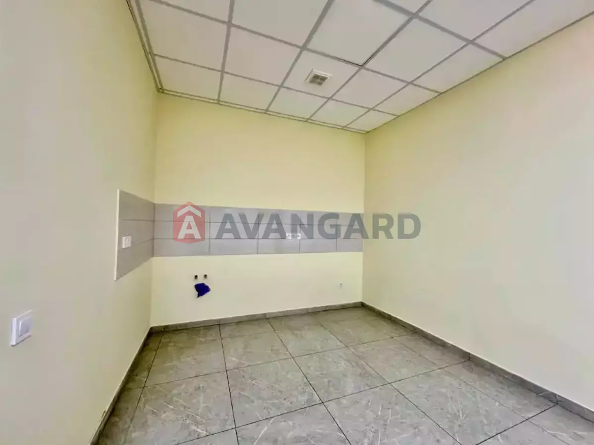 115 ��.�. ���� 5