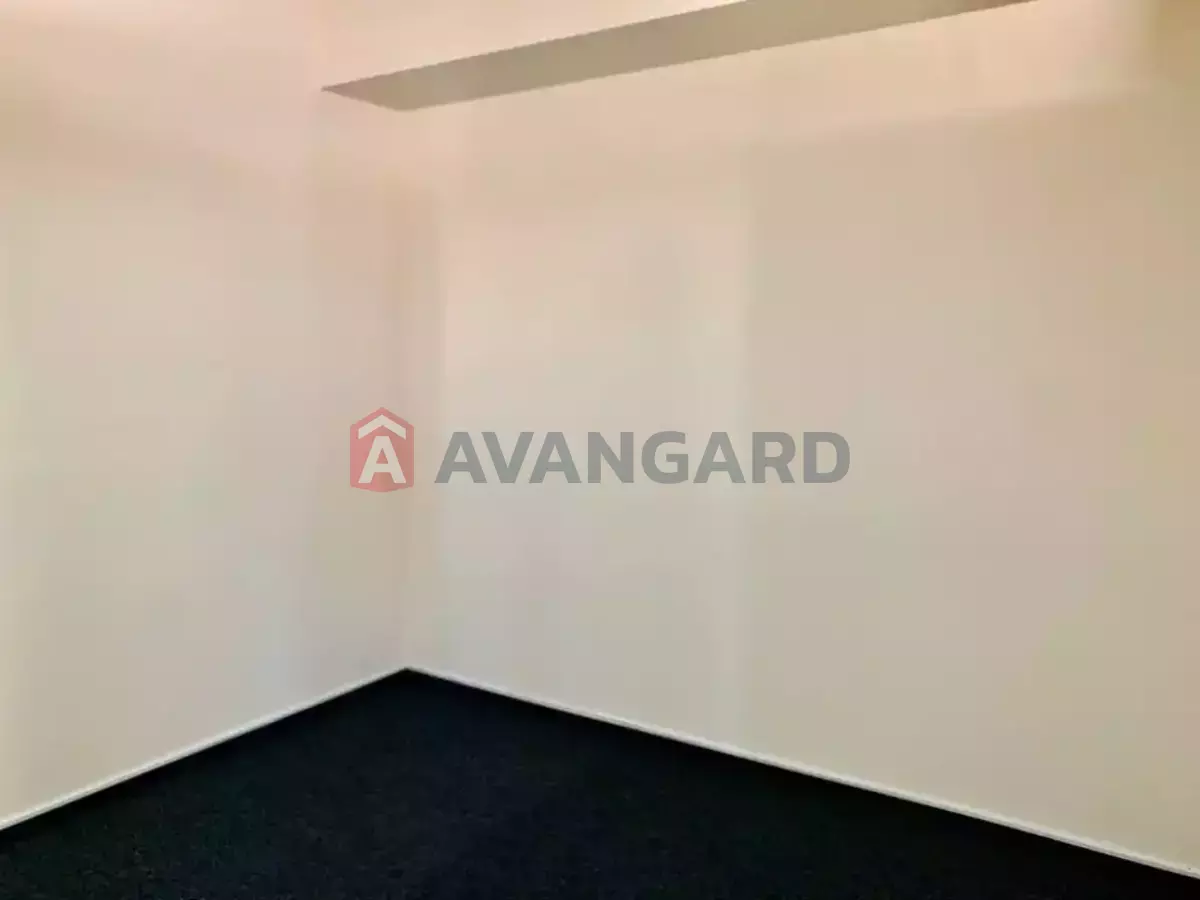 55 ��.�. ���� 8