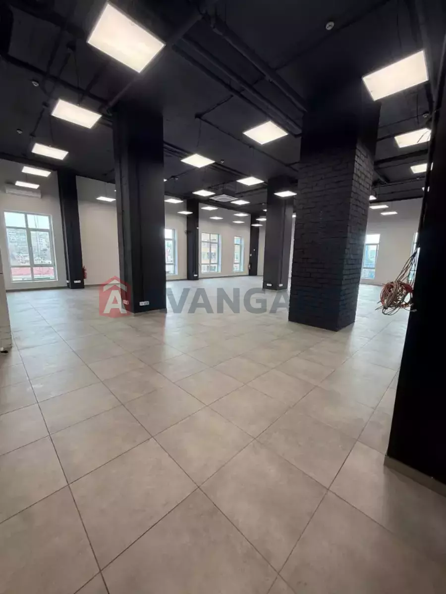 339 ��.�. ���� 2