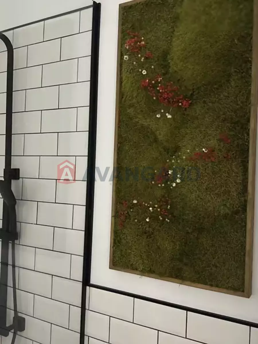 ������, 11 ��.�. ���� 2