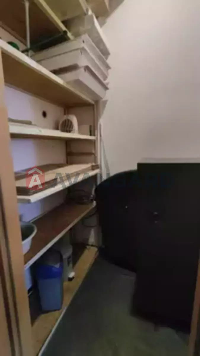 52 ��.�. ���� 4
