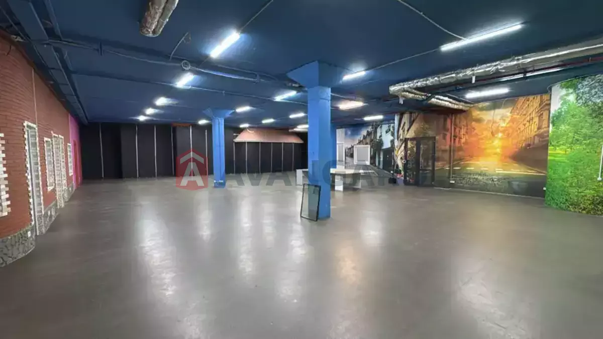 430 ��.�. ���� 8