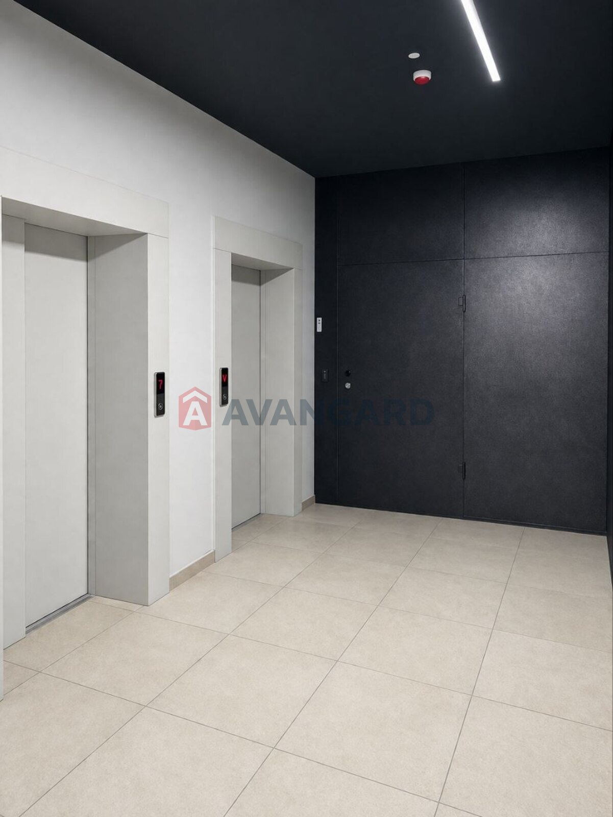 �������� ����, 48 ��.�. ���� 5