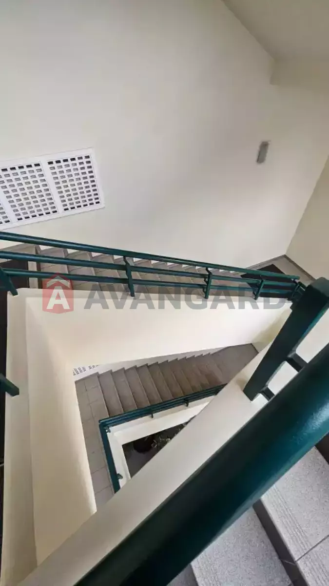 38 ��.�. ���� 7