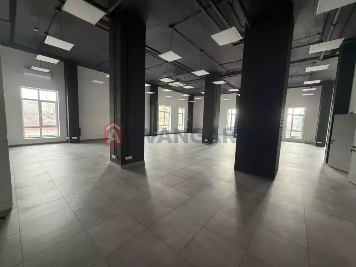 339 ��.�. ���� 3