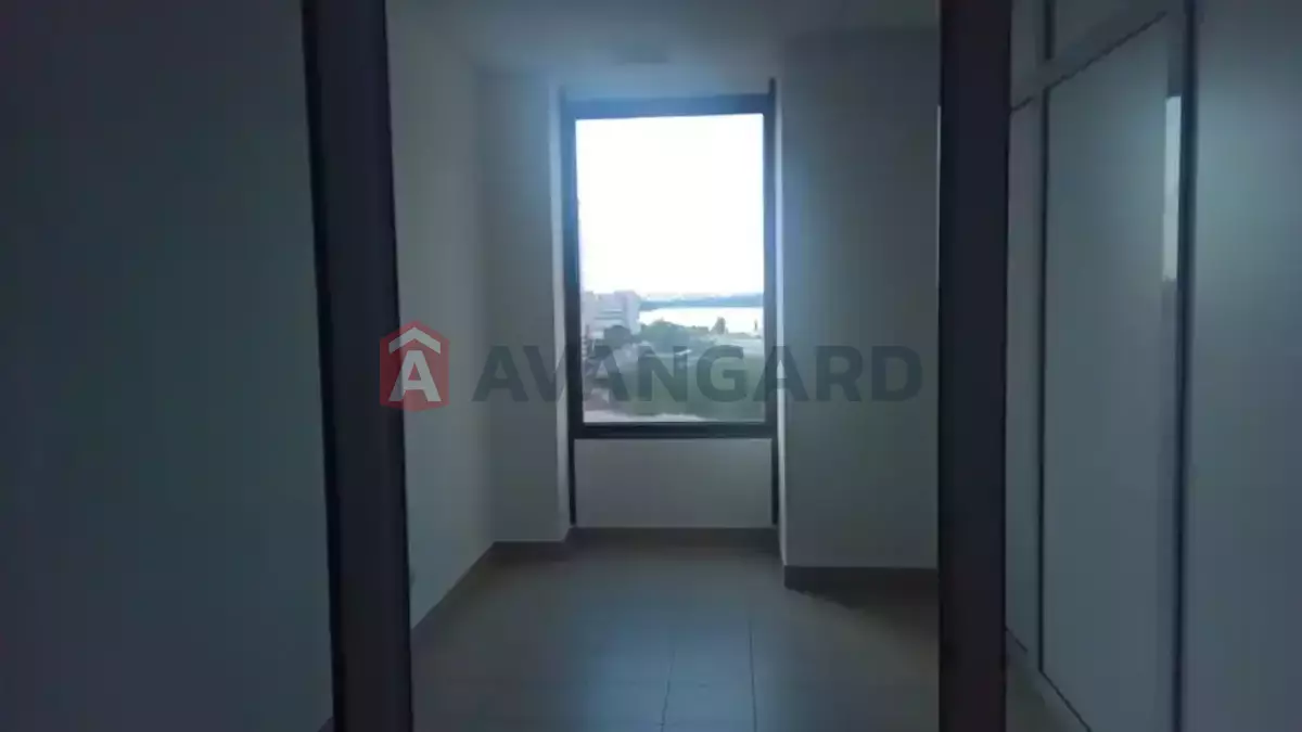 115 ��.�. ���� 7