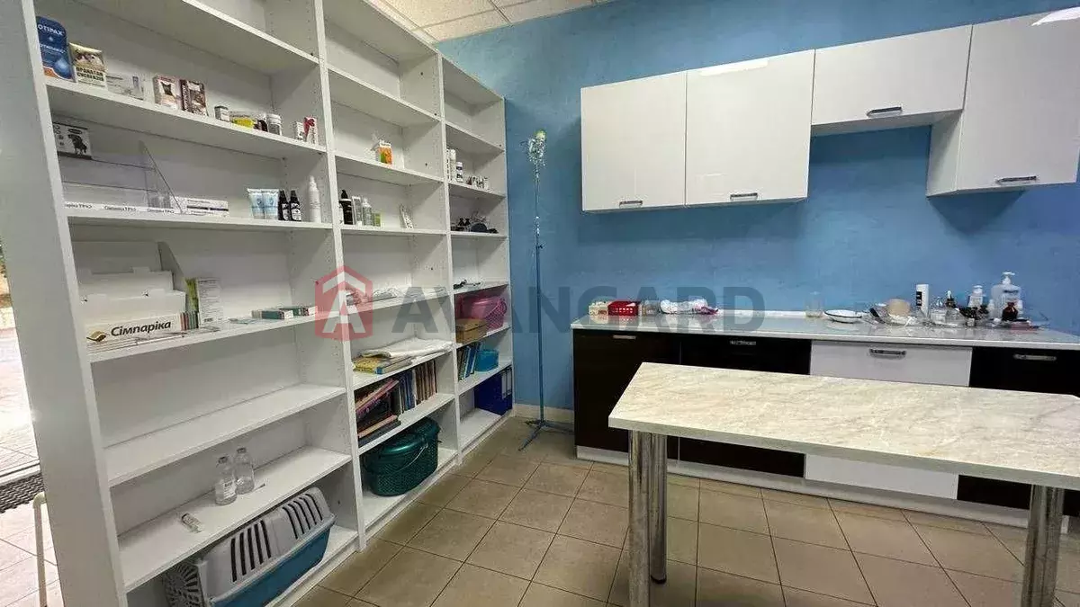 ����, 50 ��.�. ���� 5