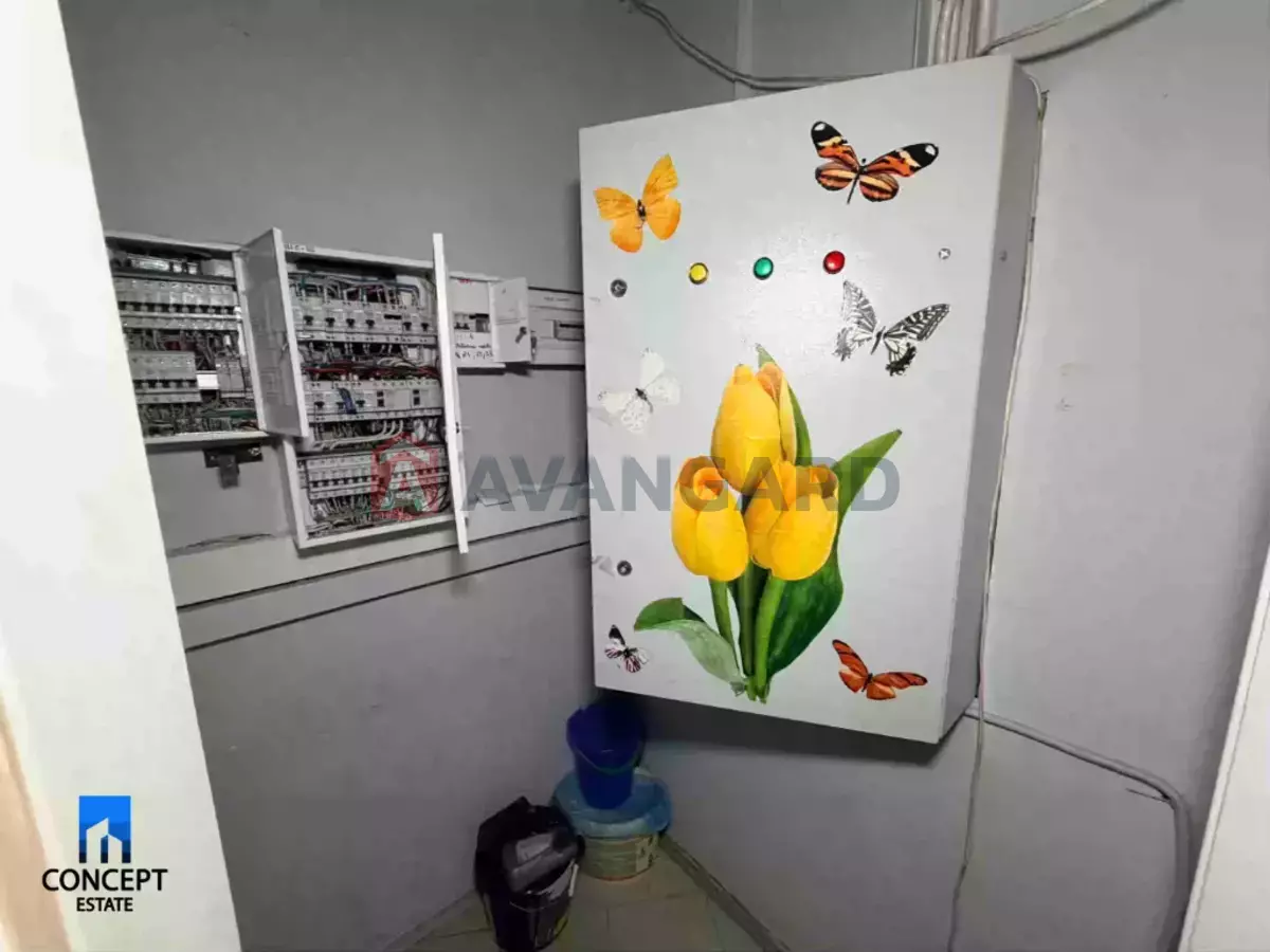 ������ ������ ������, 730 ��.�. ���� 11