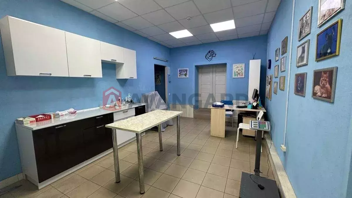 ����, 50 ��.�. ���� 18