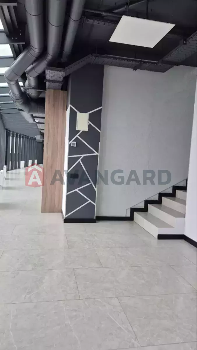 421 ��.�. ���� 7