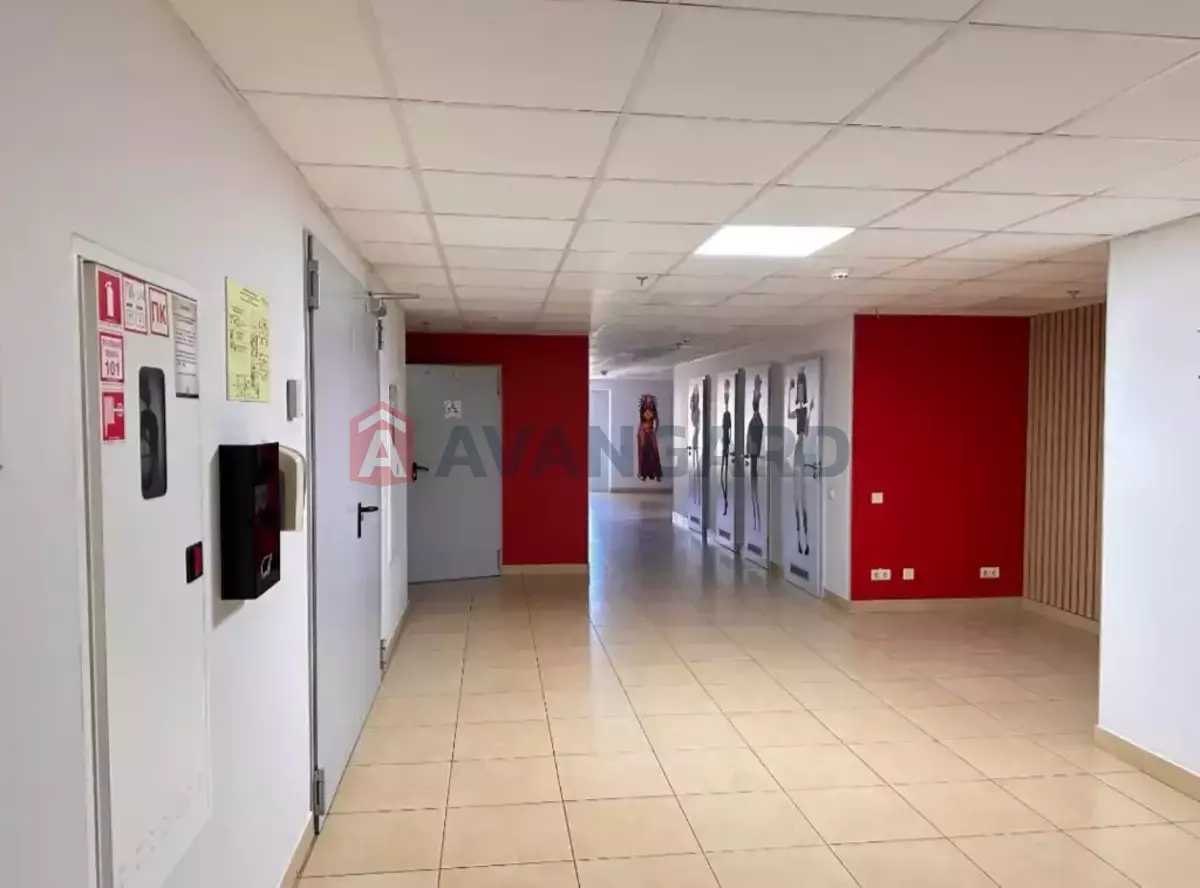 921 ��.�. ���� 5