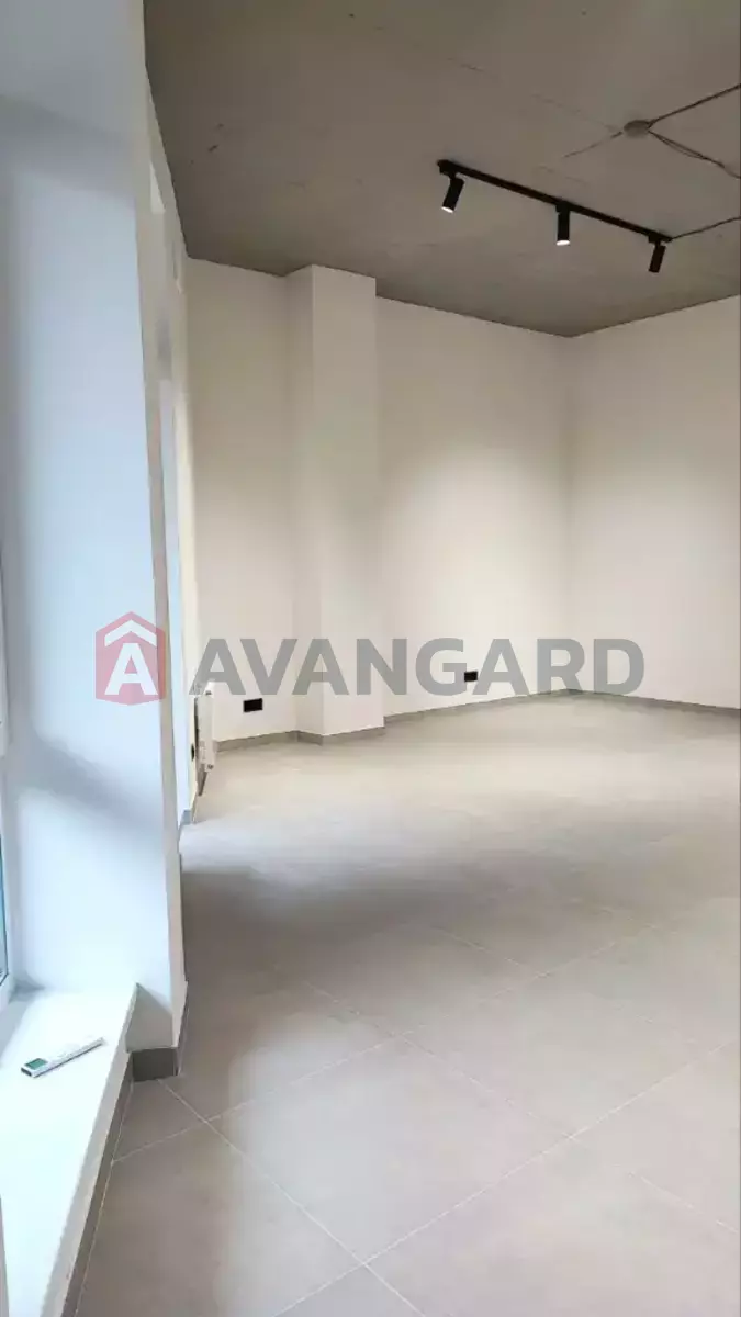 41 ��.�. ���� 4
