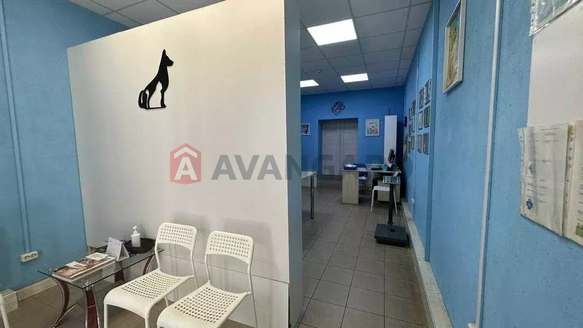 ����, 50 ��.�. ���� 13