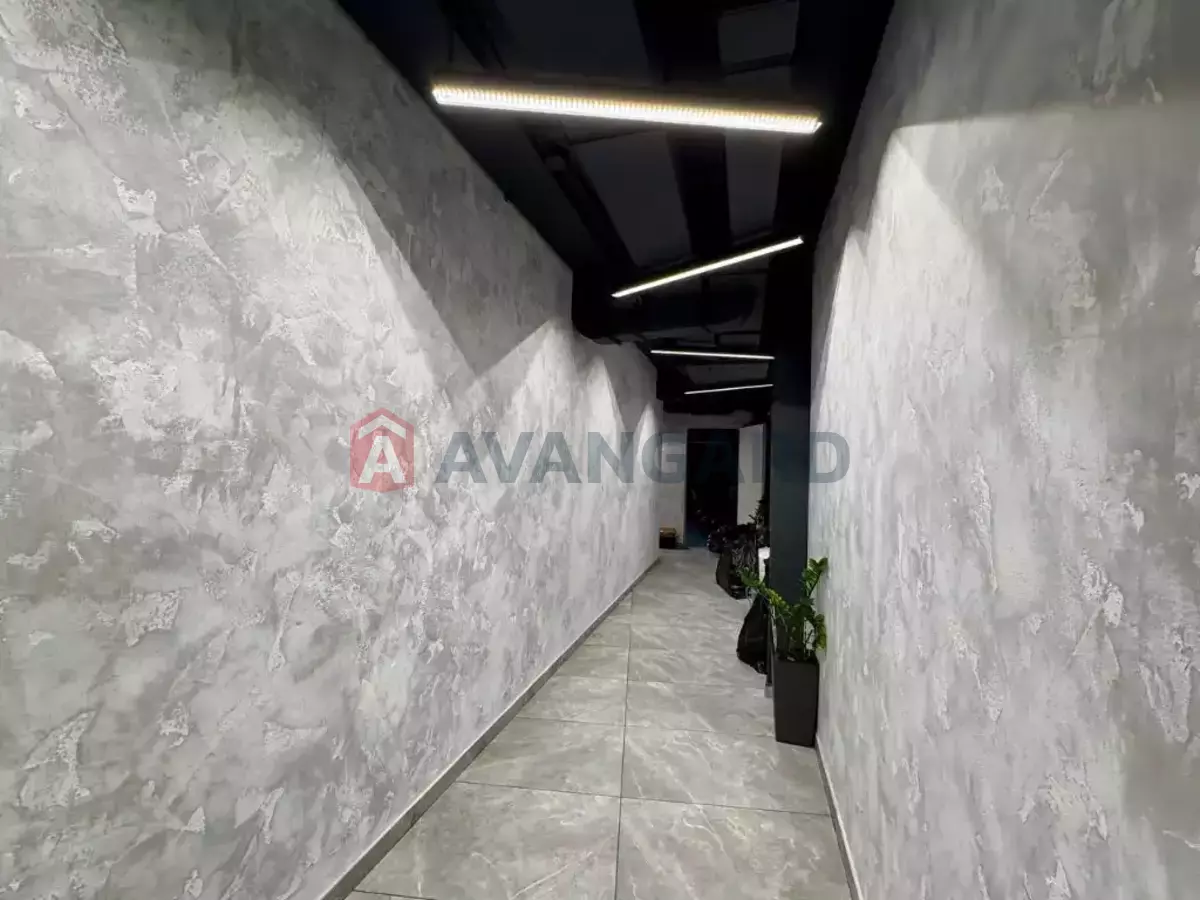 436 ��.�. ���� 8