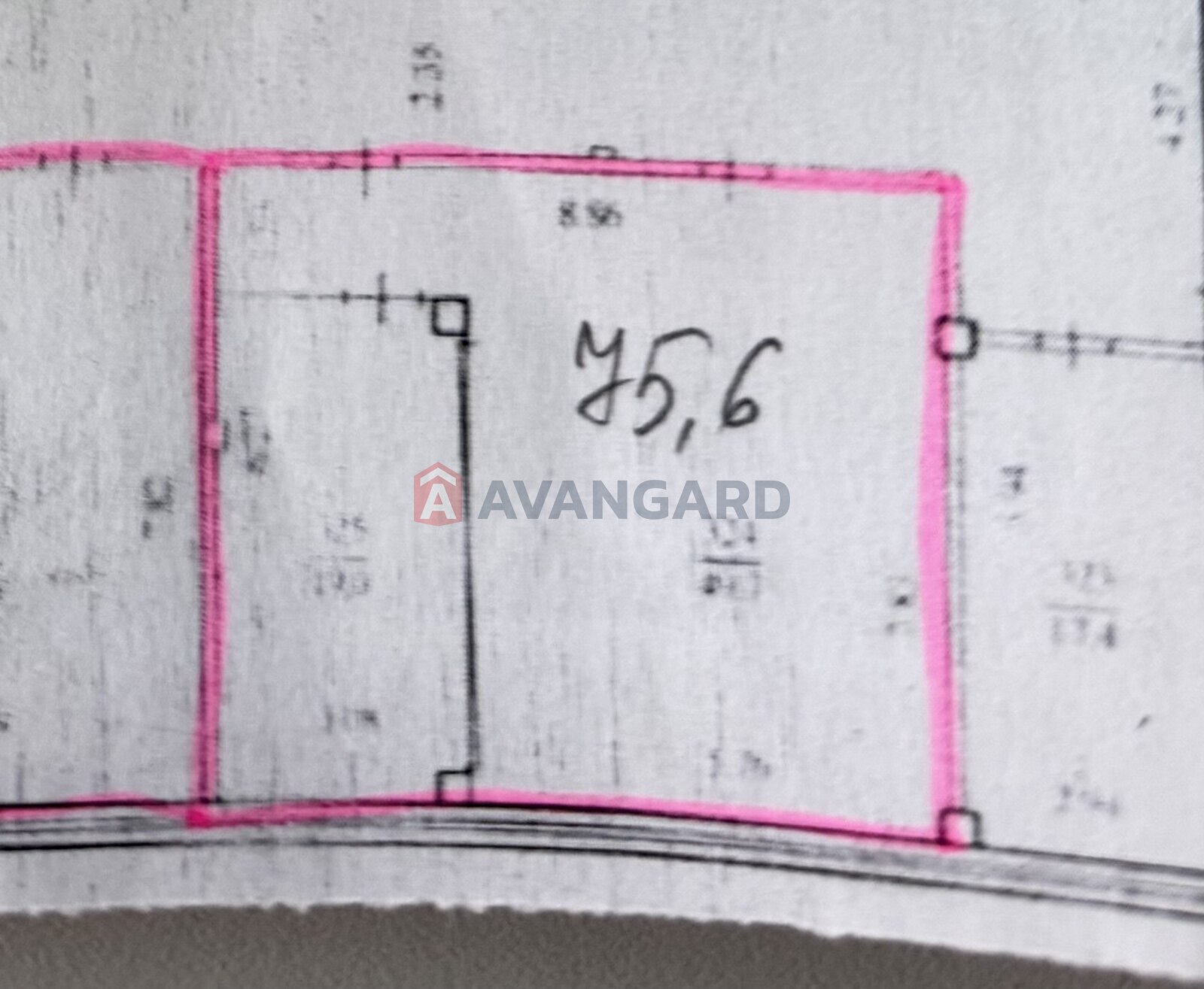 ���������������� ���������, 76 ��.�. ���� 8