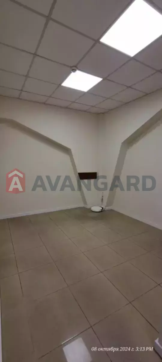 43 ��.�. ���� 7