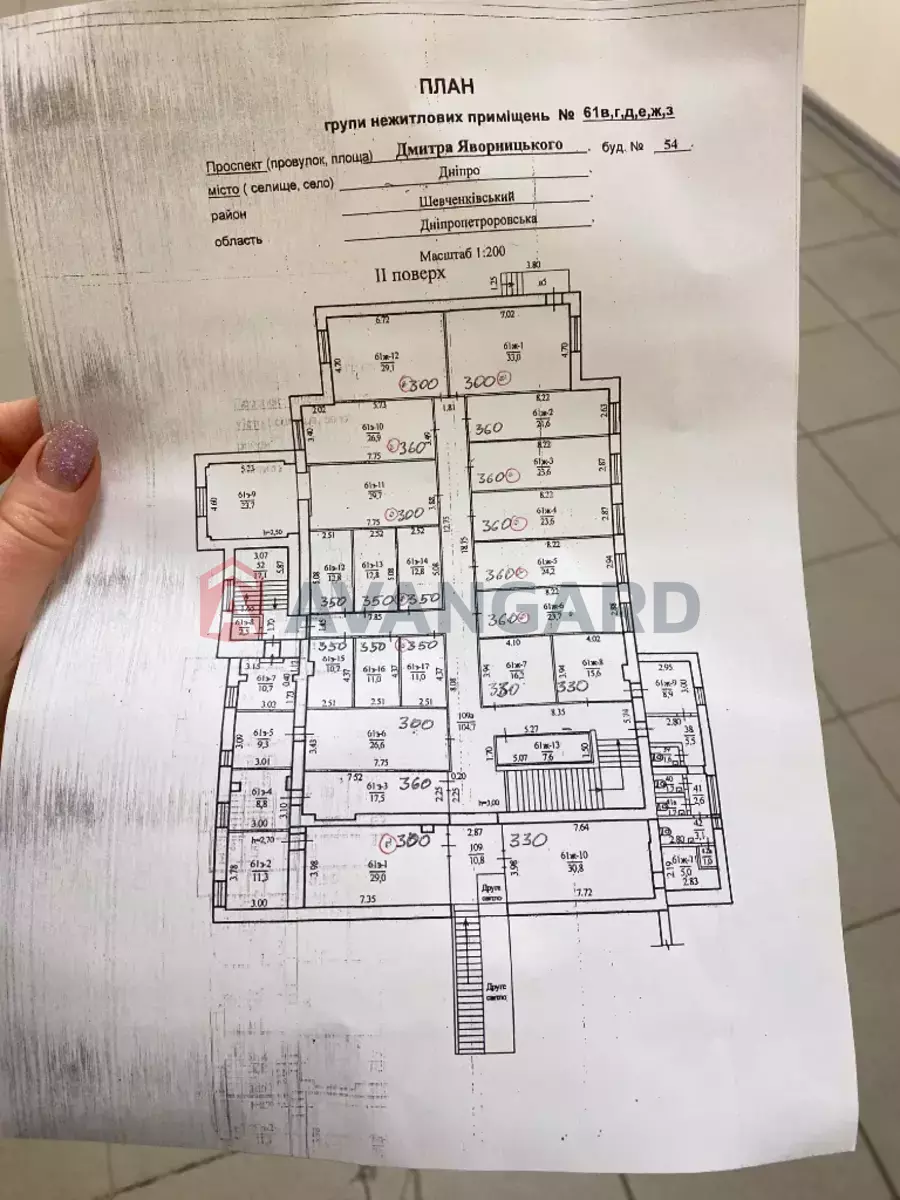 23 ��.�. ���� 13