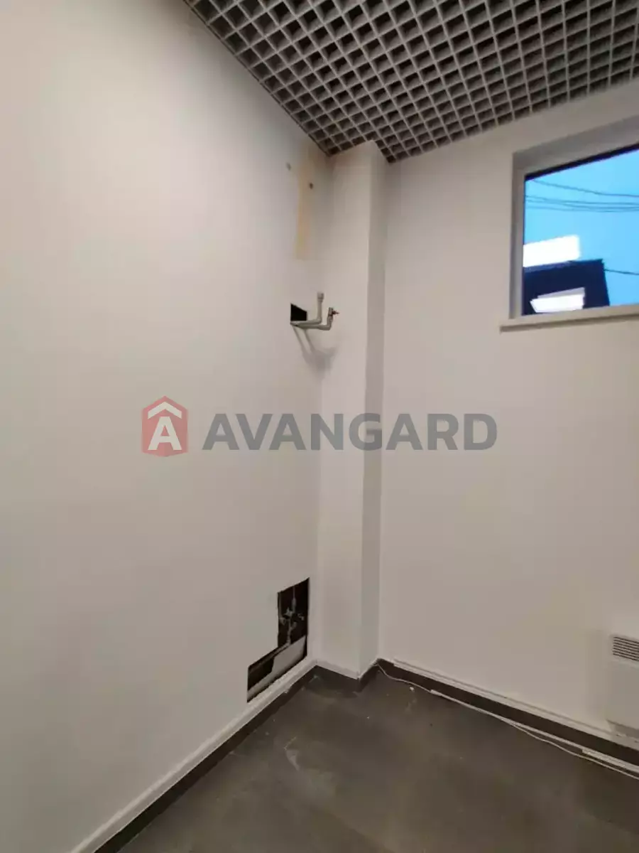 41 ��.�. ���� 16