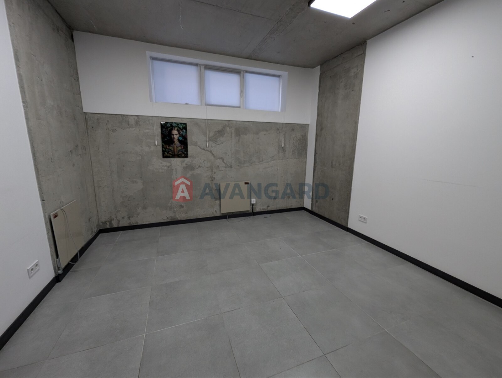 ������� ��������� � ����� ����, 206 ��.�. ���� 17