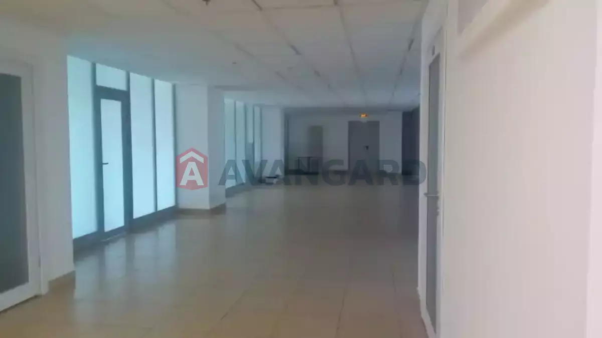 51 ��.�. ���� 7