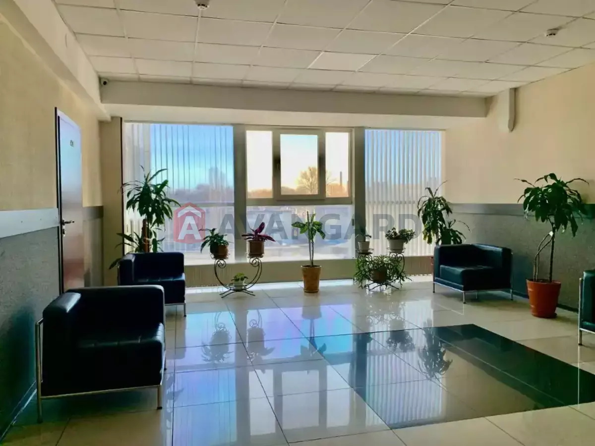 55 ��.�. ���� 10