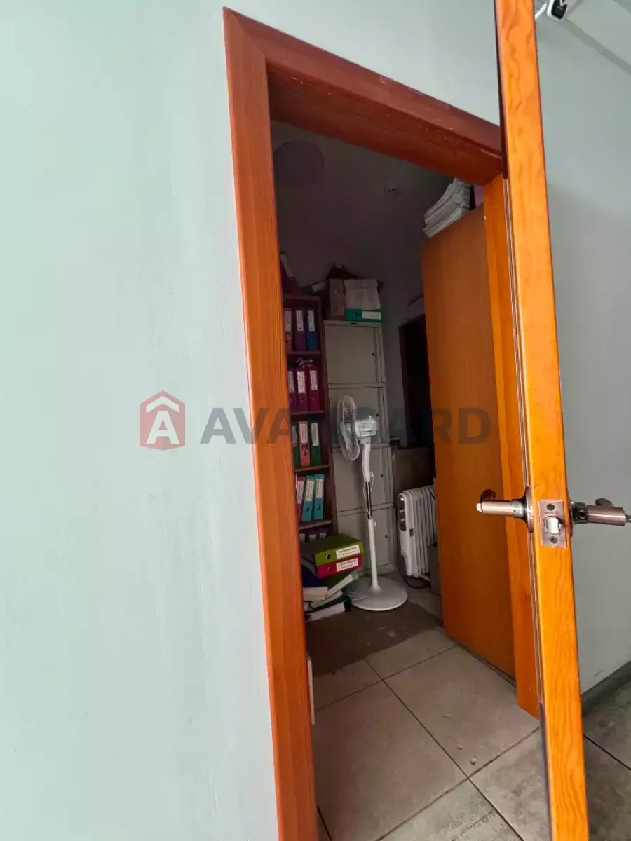 250 ��.�. ���� 12
