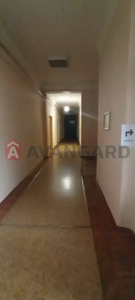 81 ��.�. ���� 1