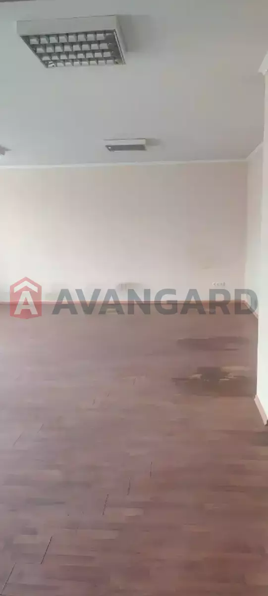 184 ��.�. ���� 7
